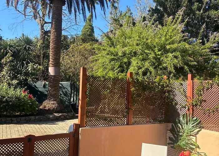 Rincon De Abanes - Casa Jardin-vv 公寓 *