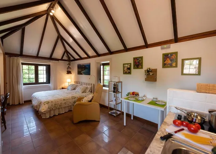 Rincon De Abanes - Casa Jardin-vv 公寓 *