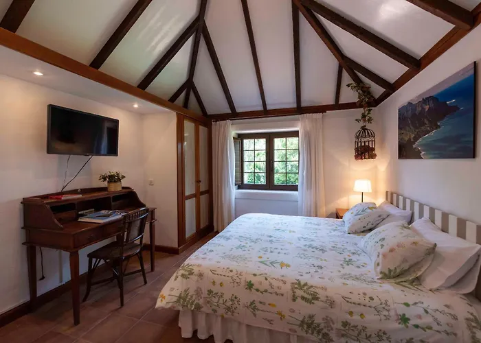 公寓 Rincon De Abanes - Casa Jardin-vv 拉拉古纳